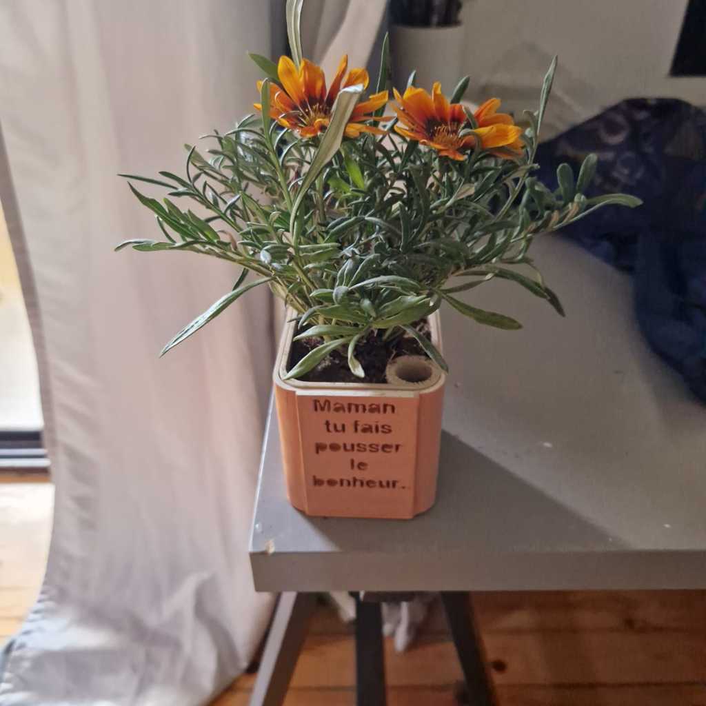 Pot de fleurs imprimé en 3D fête des mères