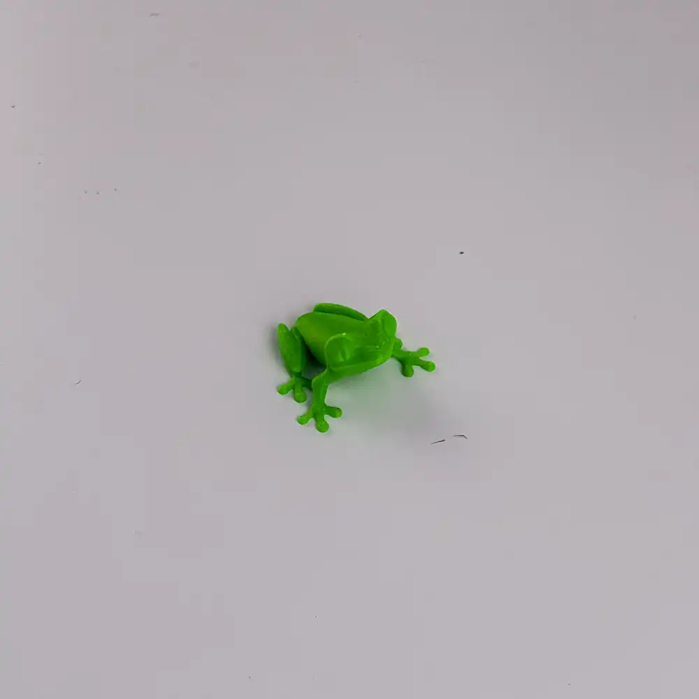 Une belle grenouille pour mamie